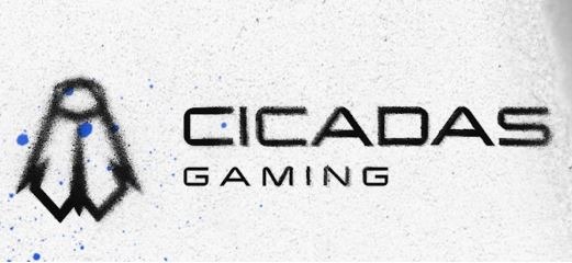 Cicadas Gaming : Un Temple Moderne du Jeu Vidéo à Toulon